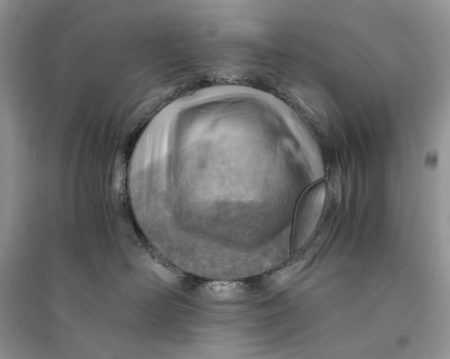 X0000094450526200711291702