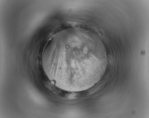 X0000094450527200711291702