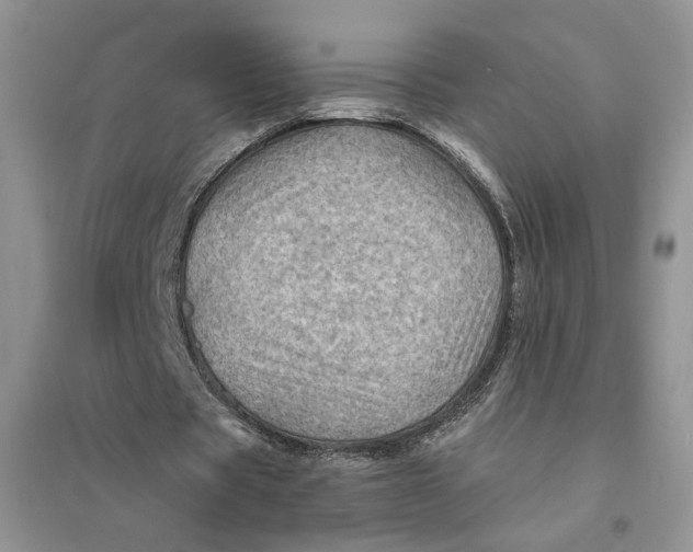 X0000094450529200711291701