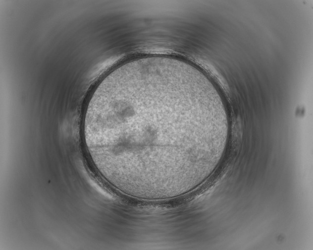 X0000094450533200711291701