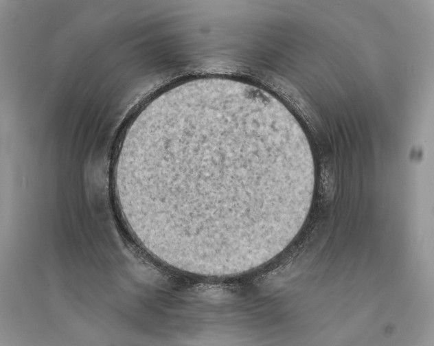 X0000094450534200711291701