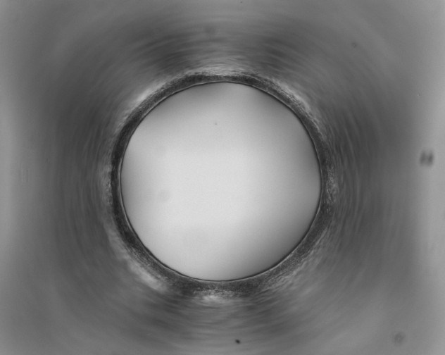 X0000094450535200711291701