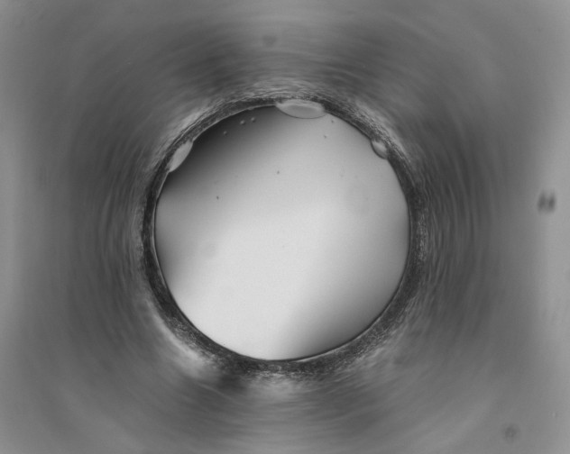 X0000094450538200711291701