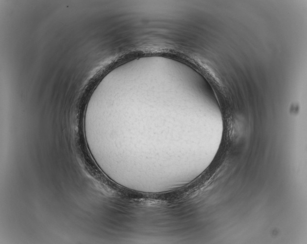 X0000094450539200711291701