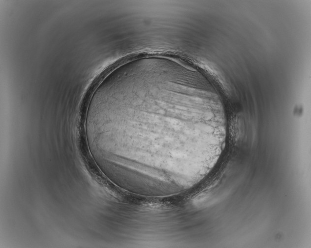 X0000094450540200711291701