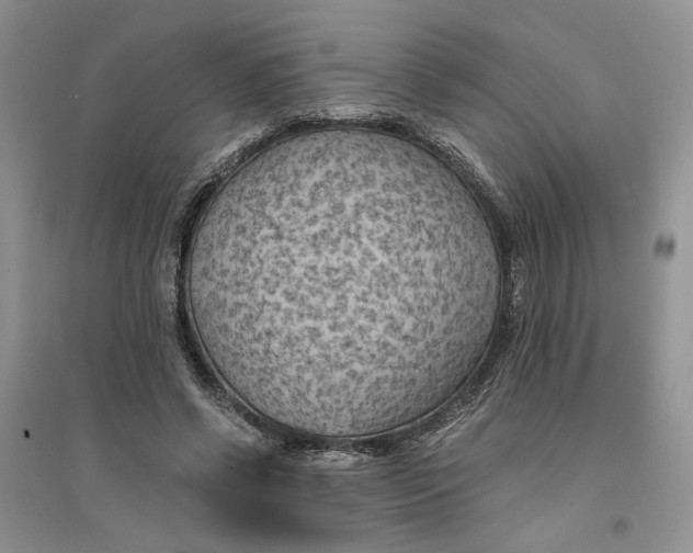 X0000094450542200711291701