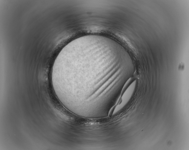 X0000094450543200711291701