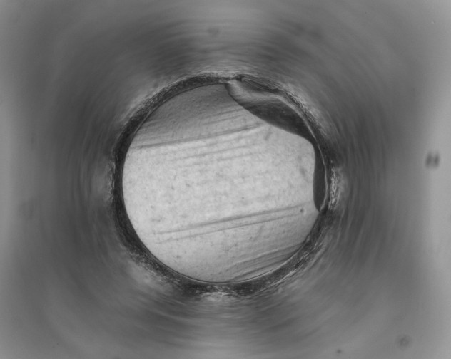 X0000094450544200711291701