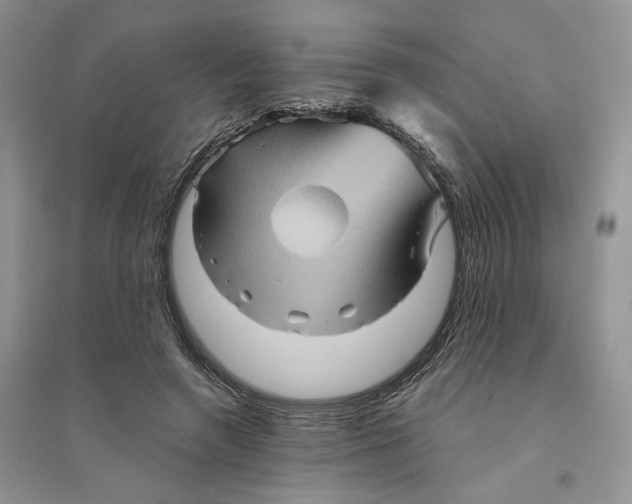 X0000094450546200711291701