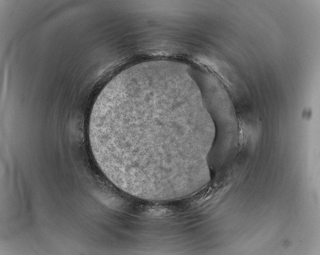 X0000094450547200711291701