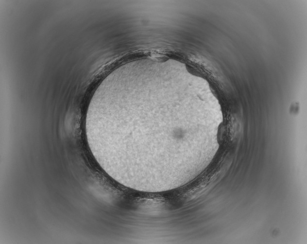 X0000094450548200711291701