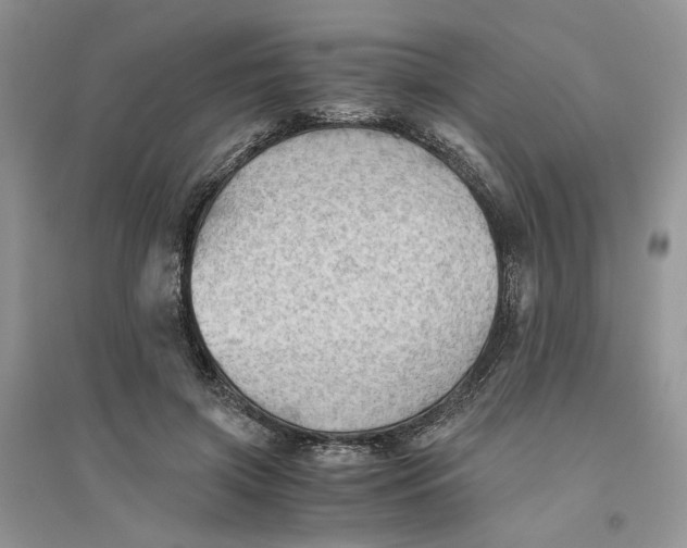 X0000094450549200711291701