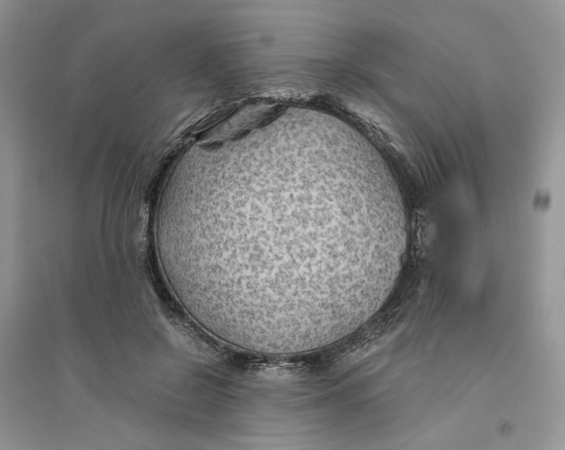 X0000094450550200711291701