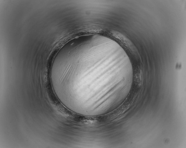 X0000094450552200711291701