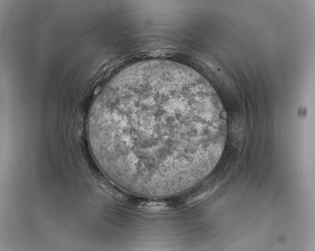 X0000094450554200711291701