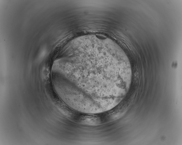 X0000094450555200711291701