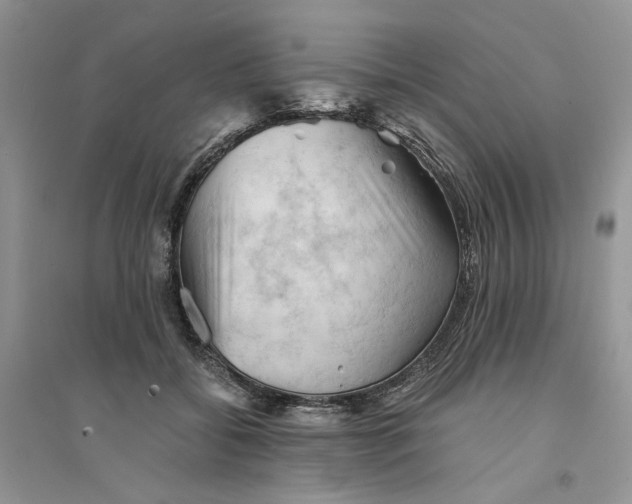 X0000094450556200711291701