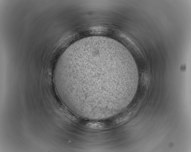 X0000094450557200711291701