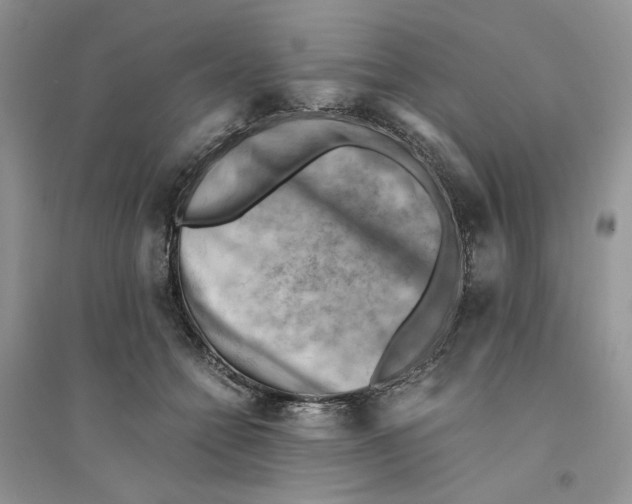 X0000094450558200711291701