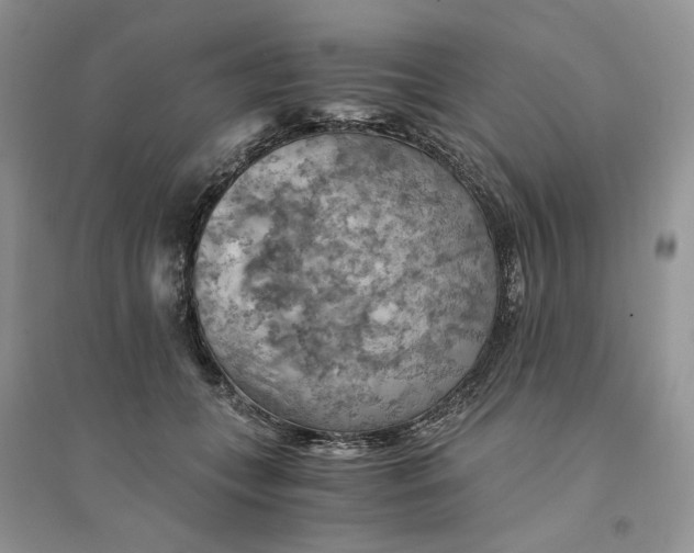 X0000094450559200711291701