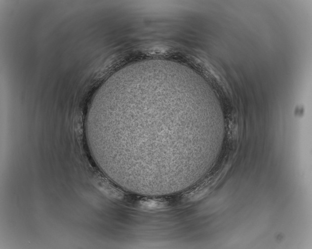 X0000094450561200711291701