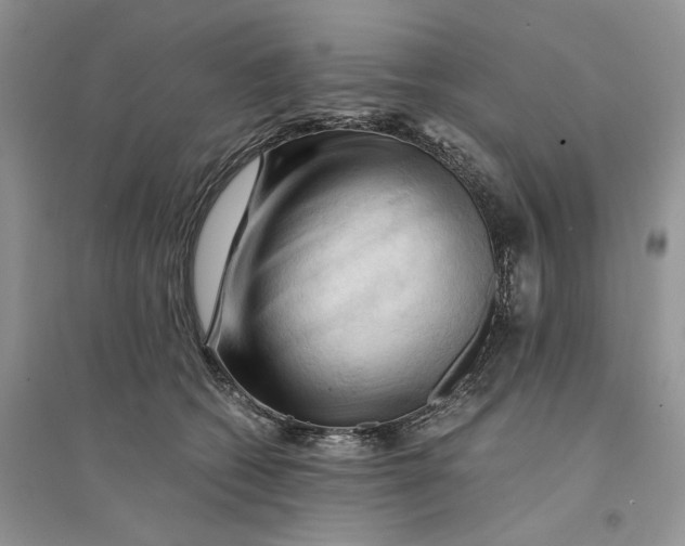 X0000094450562200711291701