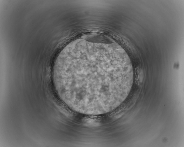 X0000094450563200711291701