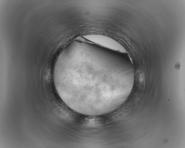 X0000094450564200711291701