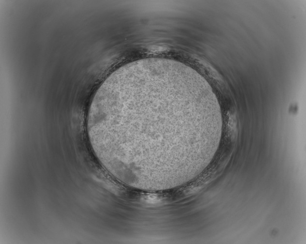 X0000094450565200711291701