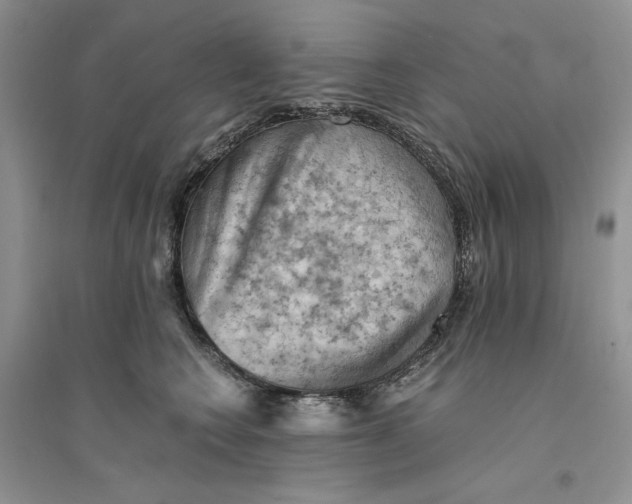 X0000094450566200711291702