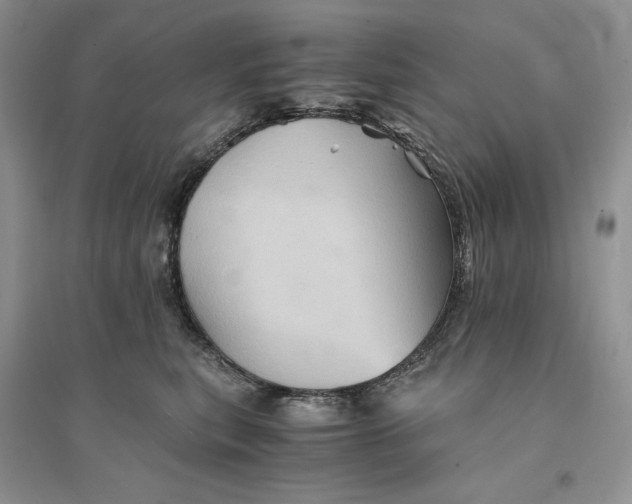 X0000094450567200711291702