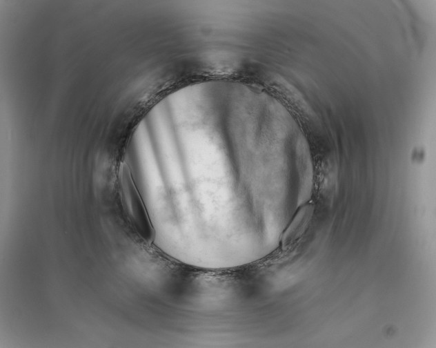 X0000094450568200711291702