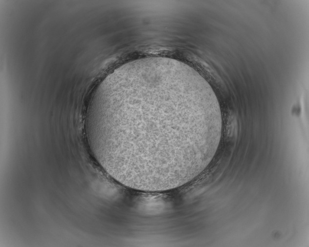 X0000094450569200711291702