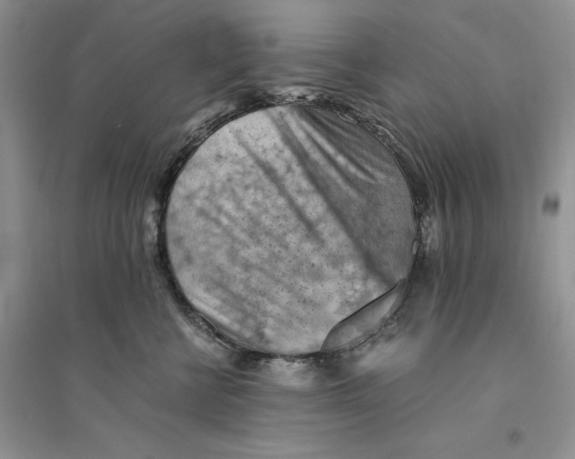 X0000094450570200711291702