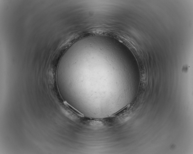 X0000094450572200711291702