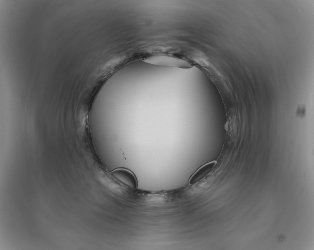 X0000094450574200711291702