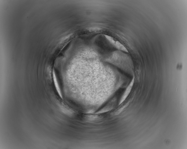 X0000094450575200711291702