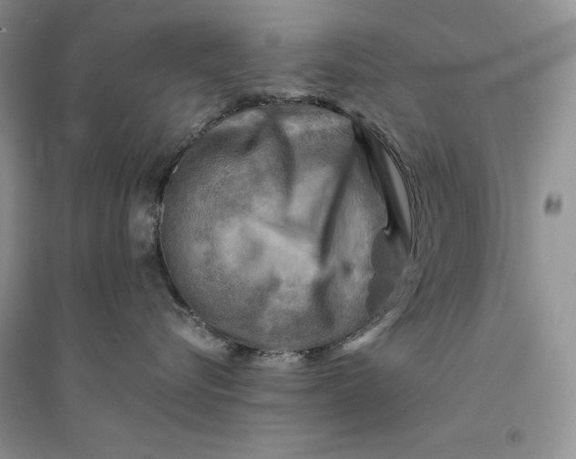 X0000094450576200711291702