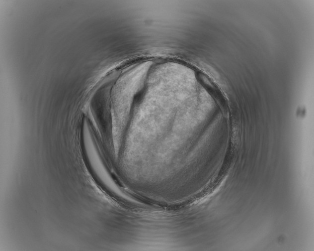 X0000094450577200711291701