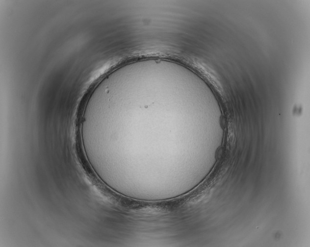 X0000094450578200711291701