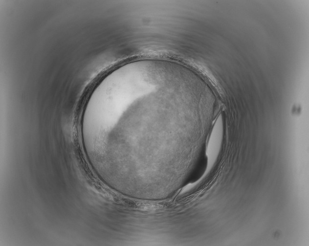 X0000094450579200711291701