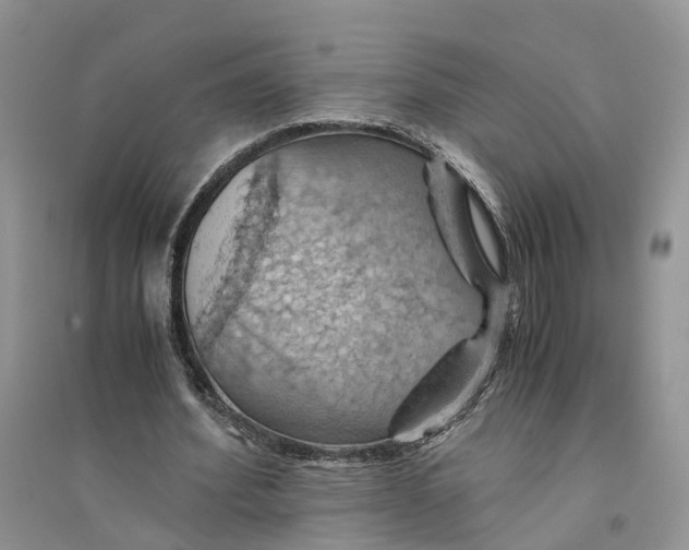 X0000094450580200711291701