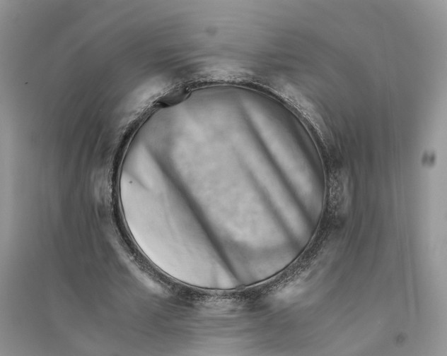 X0000094450581200711291701