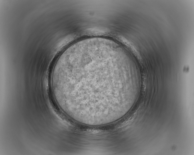 X0000094450582200711291701