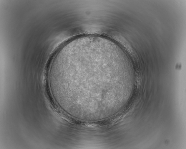 X0000094450583200711291701