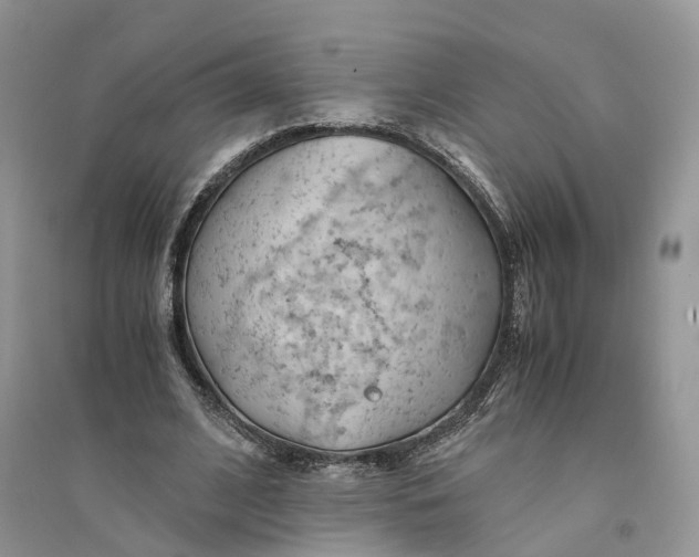 X0000094450584200711291701