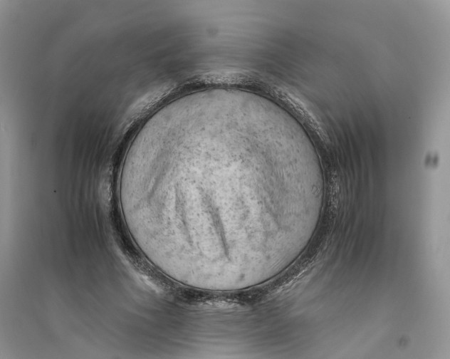 X0000094450586200711291701