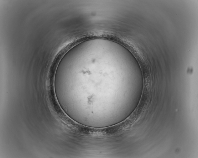 X0000094450587200711291701