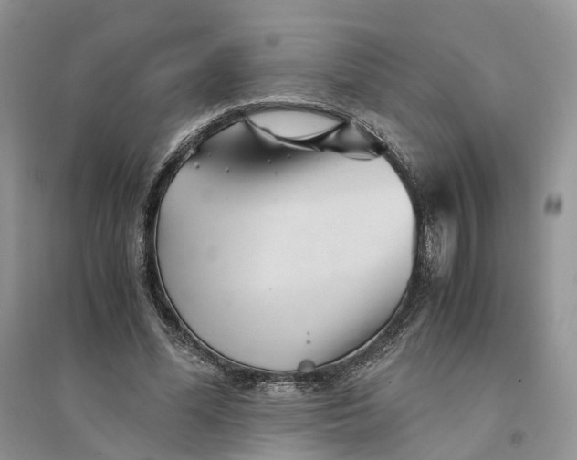 X0000094450588200711291701