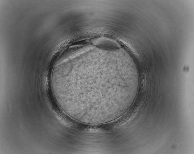 X0000094450590200711291701